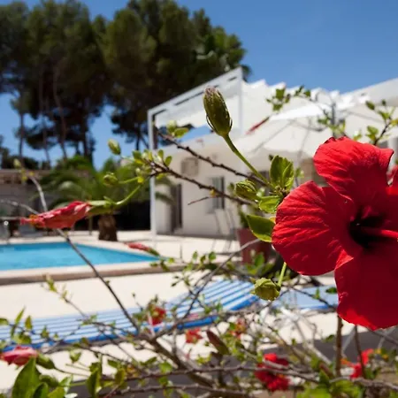 Villa Las Nieves 17Pers