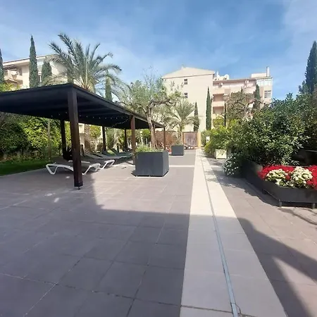 Ibo In Albir