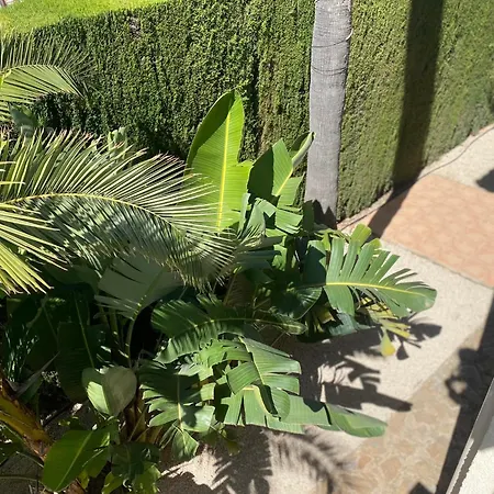 Casa La Familia En Albir Villa