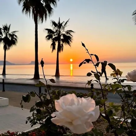Beachfront 2-bedroom, Sleeps 6, Pool, Restaurants * El Albir