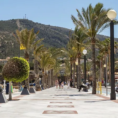 Azul Albir El Albir