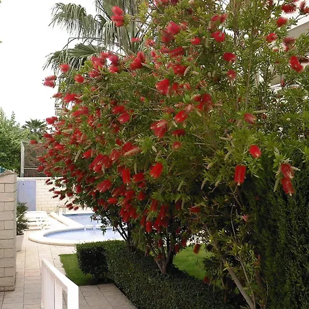Terrazas Del Albir Apartment *
