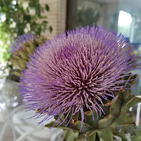 Casa Jardín Сasa de vacaciones El Albir