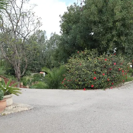 El Ancla El Albir