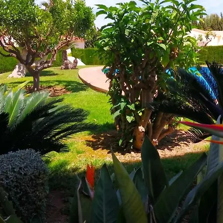 Seaview Dream Albir El Albir