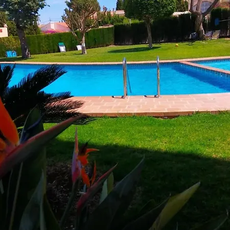 Seaview Dream Albir