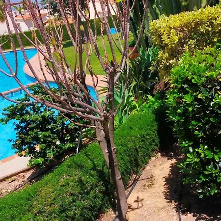 Seaview Dream Albir El Albir