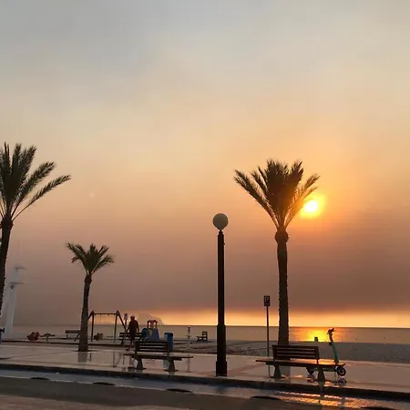 Sunylife * El Albir