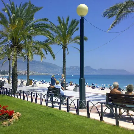Albir Azul *