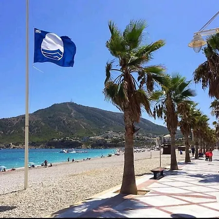 Albir Cosy * El Albir