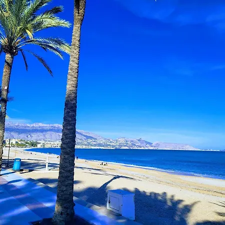 Villa Maja Albir *
