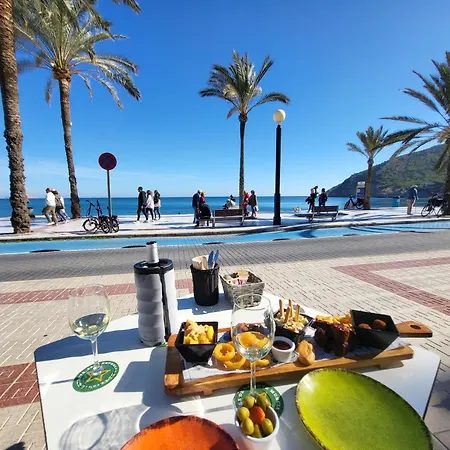 Villa Maja Albir *