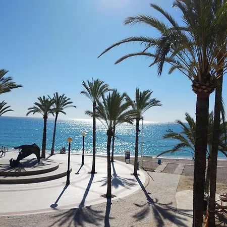 Albir El Albir