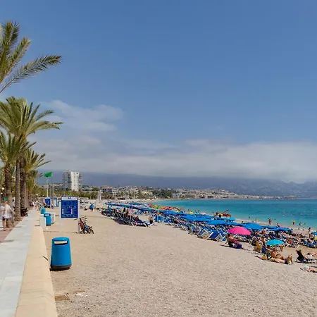 Oasis * El Albir