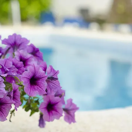 Resort La Crisalida Retreats El Albir