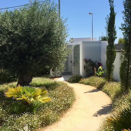 Mora By Mimar Villa El Albir