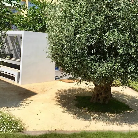 Mora By Mimar * El Albir