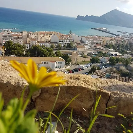 Albir Up Orly