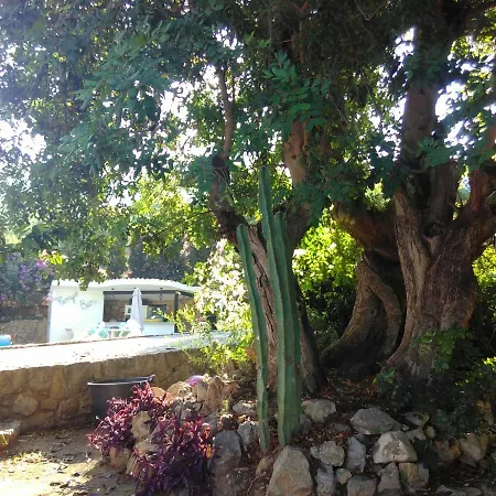 El Ancla Villa El Albir