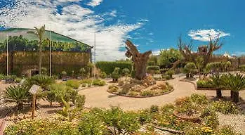 Camping Aqua Magic Excalibur  Hotel El Albir