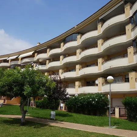 Albir Confort - Estrella * El Albir