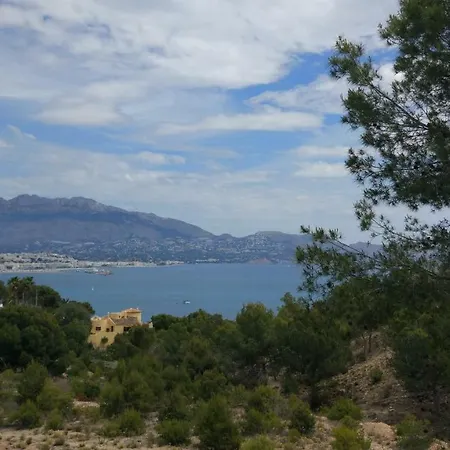 Luna Y Rosa * El Albir