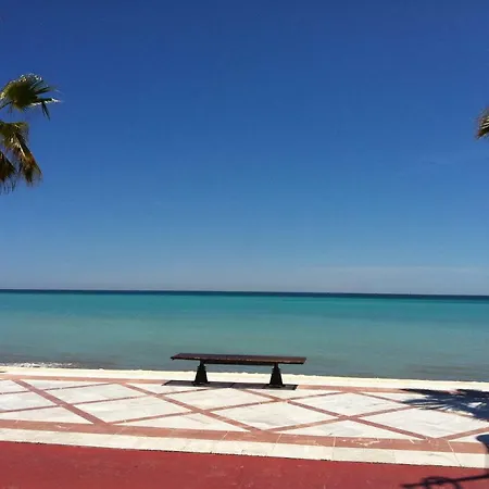 Petit * El Albir