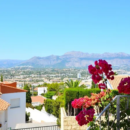 Alegria By Nras El Albir