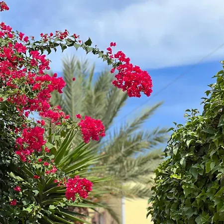 Villa Casa Schaik El Albir