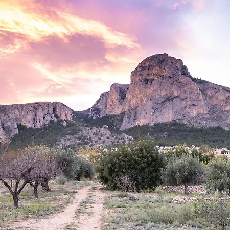 Aventino Albir